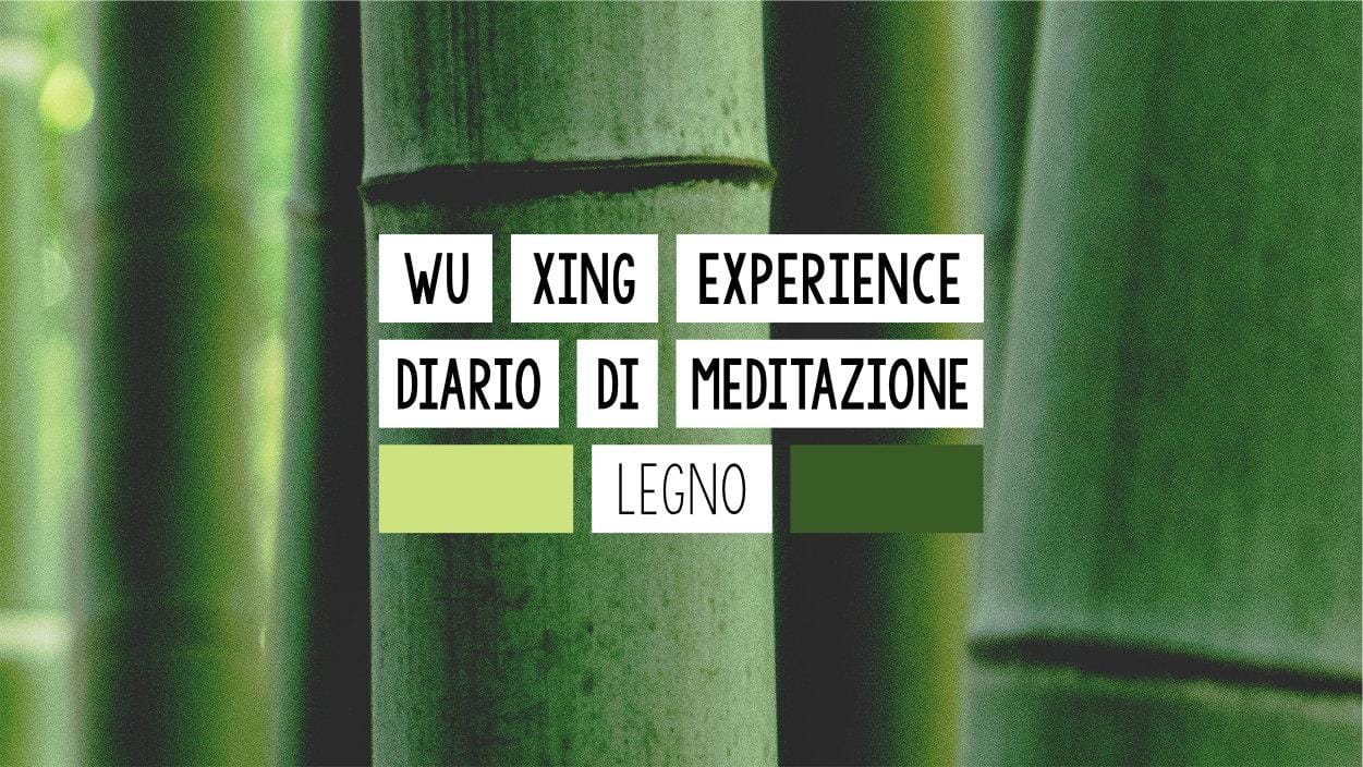 DIARIO DI MEDITAZIONE - LEGNO Wu Xing Experience