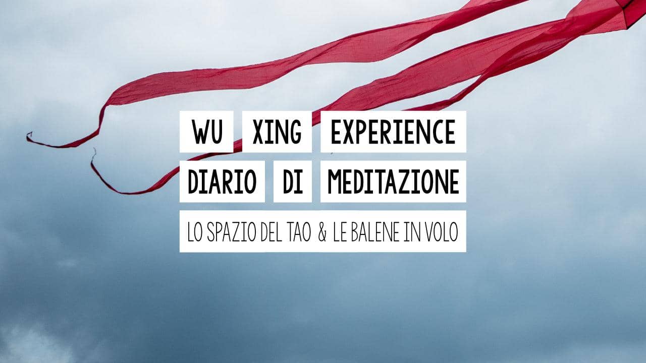 wu xing experience - i diari di meditazione